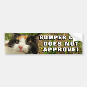 Autocollant De Voiture Le chat de butoir n'approuve pas Meme
