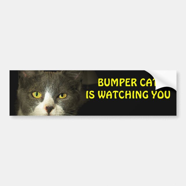 Autocollant De Voiture Le chat de butoir vous observe 3 (Devant)