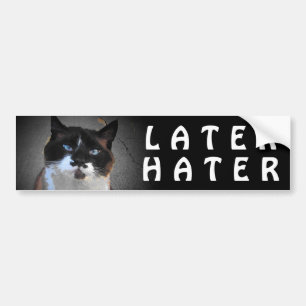 Autocollant De Voiture Le chat de moustache indique un plus défunt