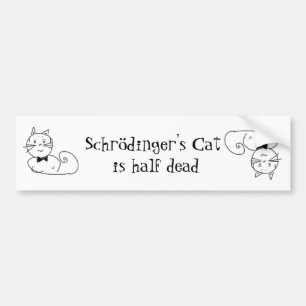 Autocollant De Voiture Le chat de Schrödinger