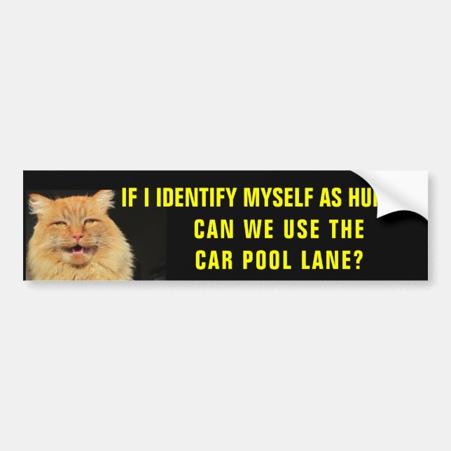 Autocollant De Voiture Le chat s'identifie dans la ruelle de carpool (Devant)