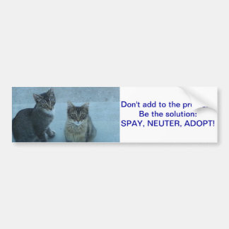 Autocollant De Voiture Le chaton égaré adorable envoient un message