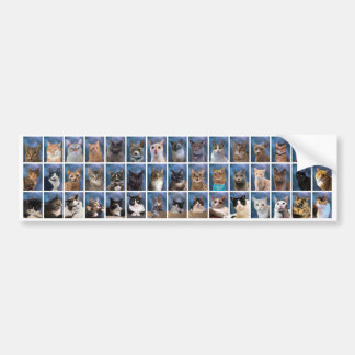 Autocollant De Voiture Le Groupe ennuyeux Classe de chats de 2023