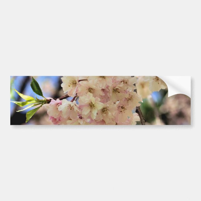 Autocollant De Voiture Le ressort rose se développe fleur (Devant)