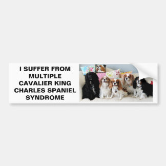 Autocollant De Voiture Le Roi cavalier multiple Charles Syndrome Bumper