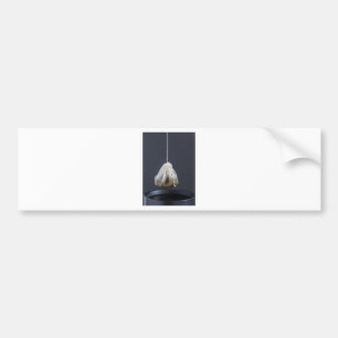 Autocollant De Voiture Le sachet de thé est suspendu dans une tasse
