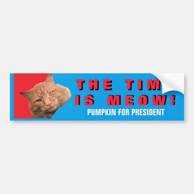 Autocollant De Voiture Le Temps Est Meow ! Citrouille bleu rouge pour le  (Devant)