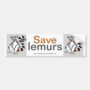Autocollant De Voiture Lemur - bumper sticker