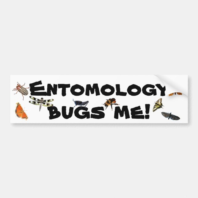 Autocollant De Voiture L'entomologie me branche sur table d'écoute (Devant)