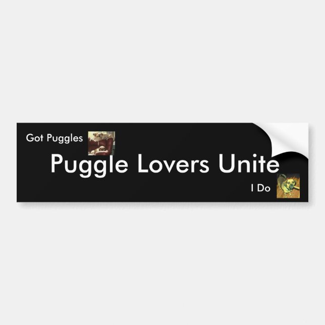Autocollant De Voiture Les amants de Puggle unissent, (Devant)