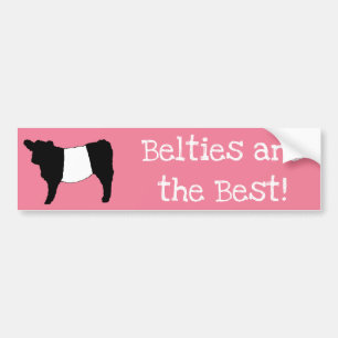 Autocollant De Voiture Les bibelots sont les meilleures vaches Galloway B