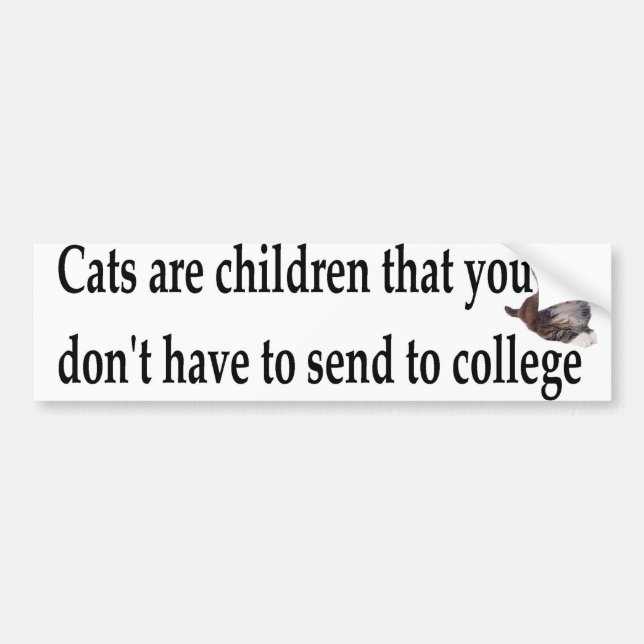 Autocollant De Voiture les chats sont des enfants (Devant)