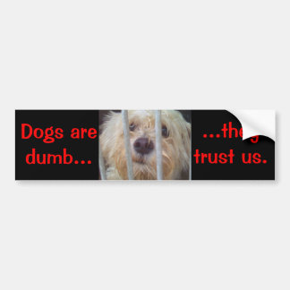 Autocollant De Voiture Les chiens sont muets