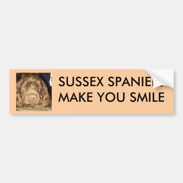 AUTOCOLLANT DE VOITURE LES ÉPAGNEULS DE SUSSEX VOUS INCITENT À SOURIRE (Devant)
