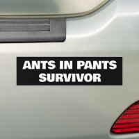 Les fourmis en pantalon survivant