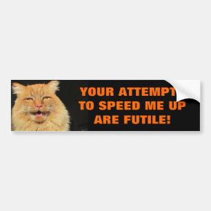 Autocollant De Voiture Les tentatives de Tailgaters sont chat futile Meme