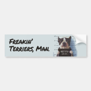 Autocollant De Voiture Les Terriers, Mec.Auto-collants pour voiture
