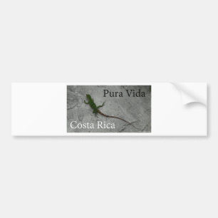 Autocollant De Voiture Lézard sur le mur Costa Rica Pura Vida