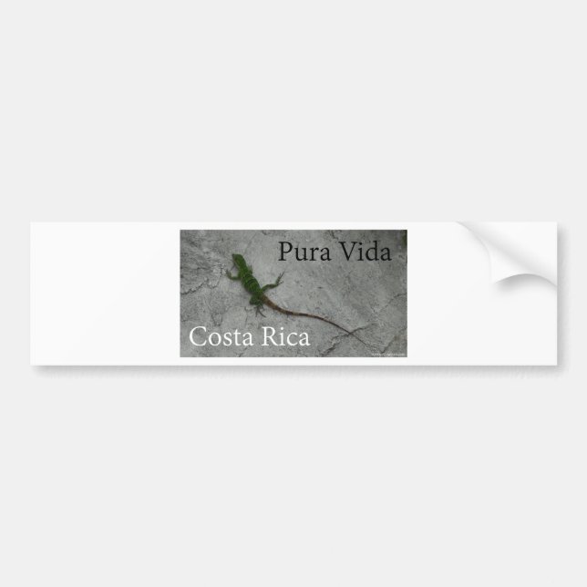 Autocollant De Voiture Lézard sur le mur Costa Rica Pura Vida (Devant)
