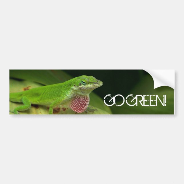 Autocollant De Voiture Lézard très vert, DEVENEZ ÉCOLO ! (Devant)