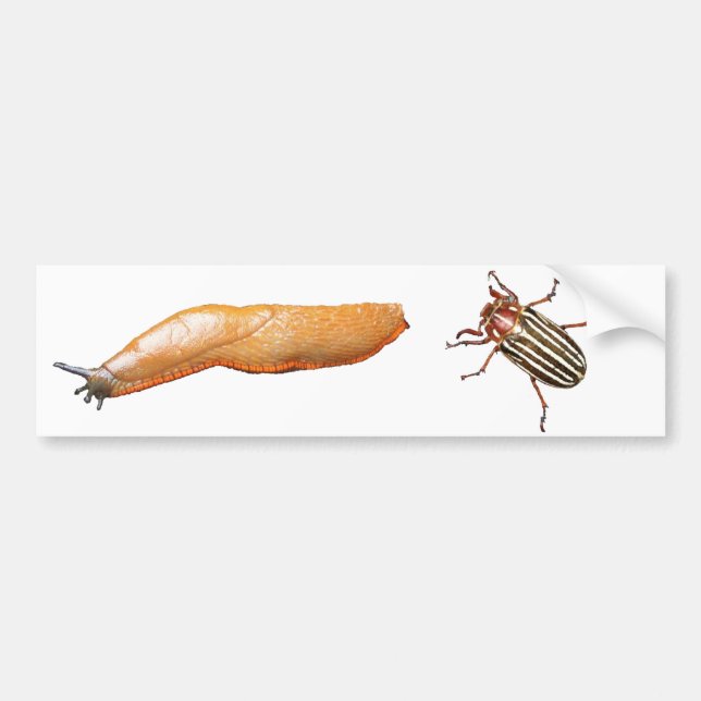 Autocollant De Voiture Lingot et insecte (Devant)