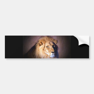 Autocollant De Voiture Lion