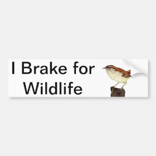 Autocollant De Voiture Little Wren