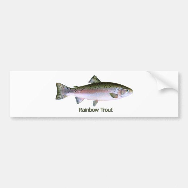 Autocollant De Voiture Logo de pêche de truite arc-en-ciel (Devant)