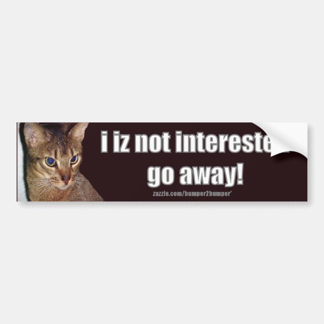 Autocollant De Voiture LOLCat 3 Bumpersticker (Devant)