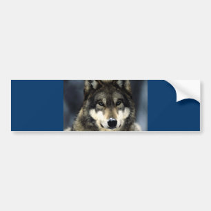 Autocollant De Voiture Loup