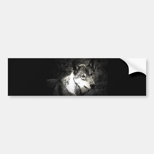 Autocollant De Voiture Loup gris (Devant)