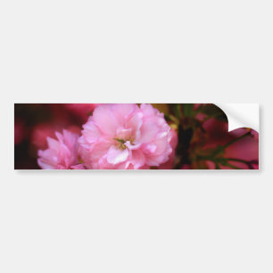 Autocollant De Voiture Lovely Spring Pink Cherry Blossoms