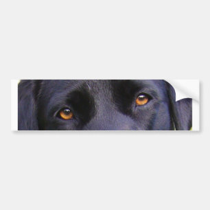 Autocollant De Voiture LR yeux noirs