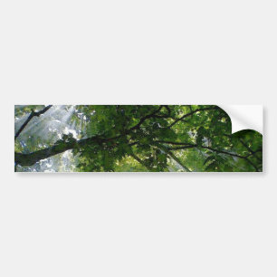 Autocollant De Voiture Lumière du soleil par des arbres
