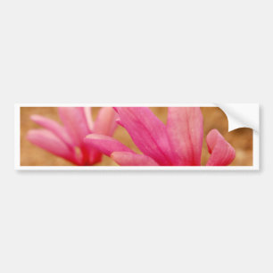 Autocollant De Voiture Magnolia japonaise