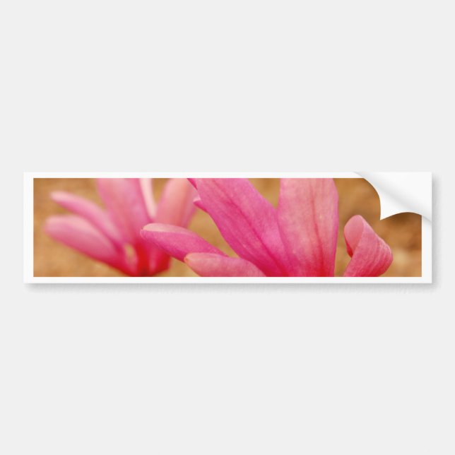 Autocollant De Voiture Magnolia japonaise (Devant)
