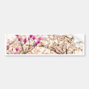 Autocollant De Voiture Magnolias Rose Violet en Fleur de Printemps