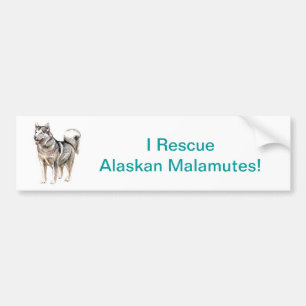 Autocollant De Voiture Malamute d'Alaska