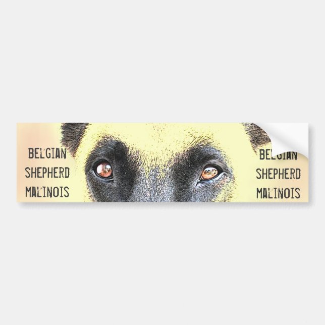 Autocollant De Voiture Malinois belges de berger d'adhésif pour (Devant)