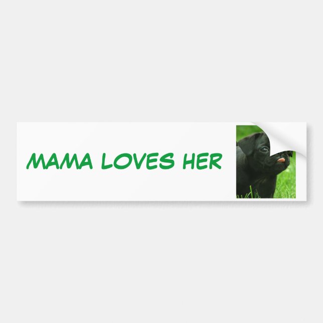 AUTOCOLLANT DE VOITURE MAMAN LOVES HER PUGS (Devant)