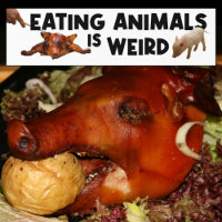Manger des animaux est bizarre, végétal activisme