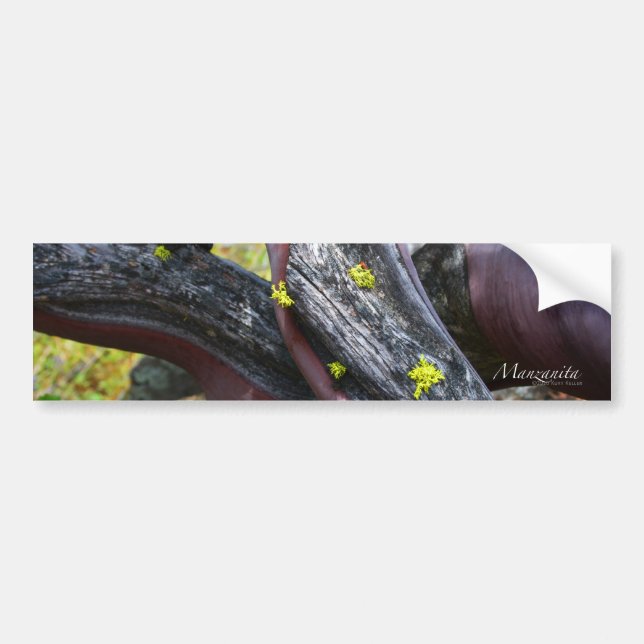 Autocollant De Voiture Manzanita Bumpersticker (Devant)