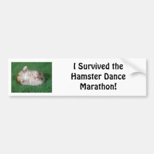 Autocollant De Voiture Marathon de danse de hamster