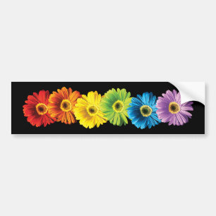 Autocollant De Voiture Marguerites d'arc-en-ciel