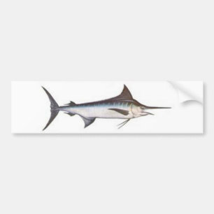 Autocollant De Voiture Marlin bleu