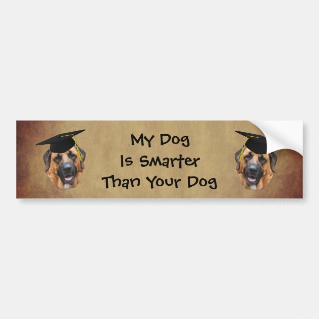 Autocollant De Voiture Mastiff My Dog Is Smarter Than Funny  (Devant)