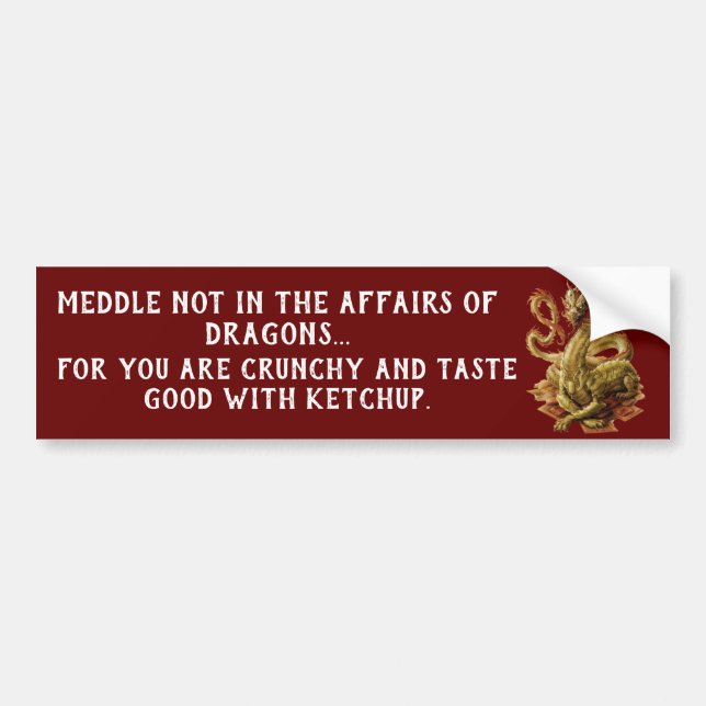 Autocollant De Voiture Meddle Pas Dans Les Affaires Des Dragons (Devant)
