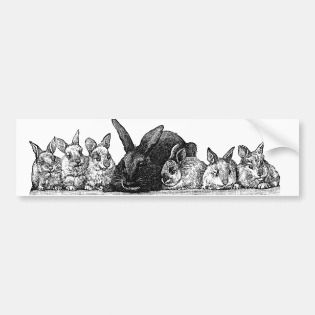 Autocollant De Voiture Mère lapin et bébés (Devant)