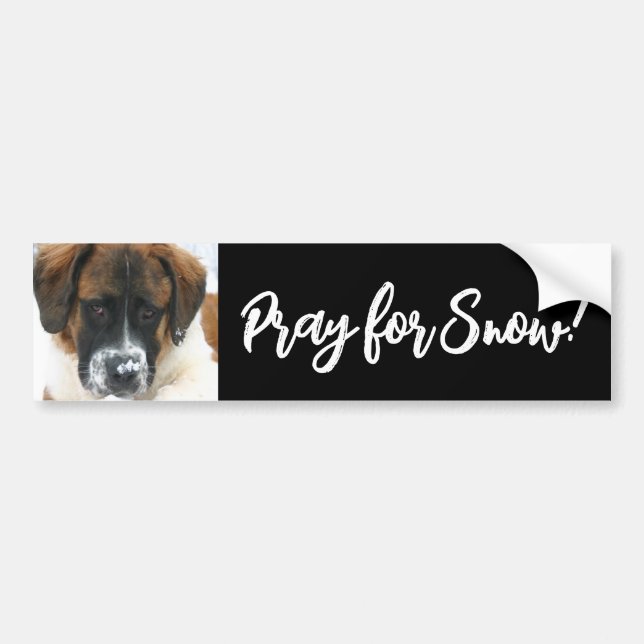 Autocollant De Voiture Mignonne Saint Bernard Priez pour la neige ! Stick (Devant)