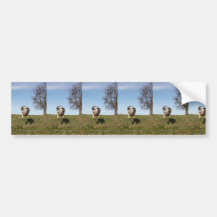 Autocollant De Voiture Miniature American Shepherd Blue Merle Jumping